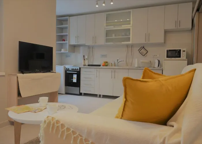 Spacious 2-Bedroom Apartment With Luxury Feel