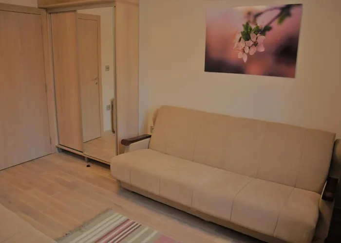 Spacious 2-Bedroom Apartment With Luxury Feel